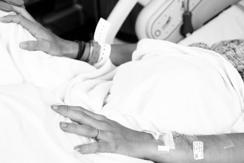 Taylor Rose is Here | PepperDesignBlog.com