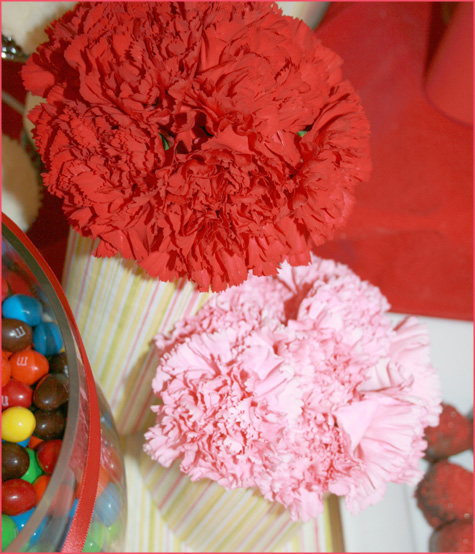 Carnation Ball