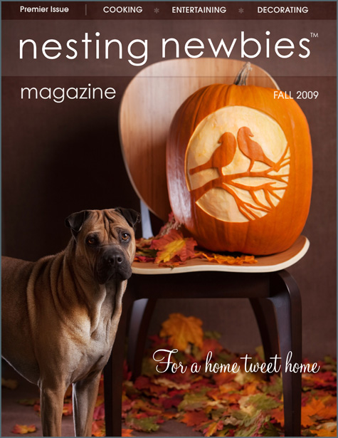 Nesting Newbies Friday Guest Blog Interview Nesting Newbies Friday Guest Blog Interview