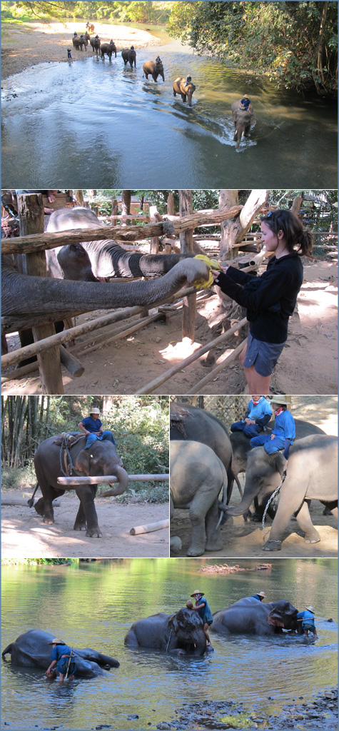 chiangmai_elephantcamp_posted