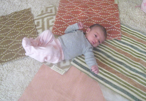 Nursery Fabric Swatches Thibaut 2