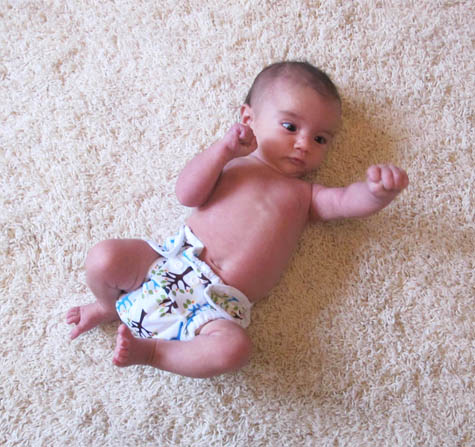 Cloth Diapering Review