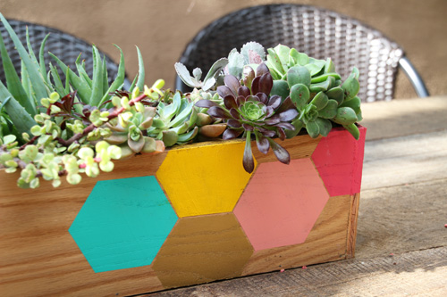 DIY Hexagon Wood Succulent Planter : PepperDesignBlog.com