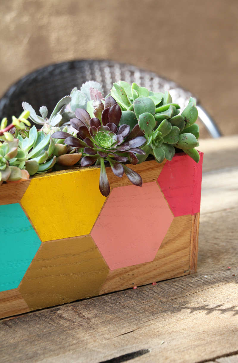 DIY Hexagon Wood Succulent Planter : PepperDesignBlog.com