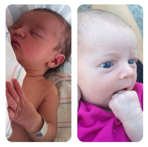 Baby Comparison | PepperDesignBlog.com