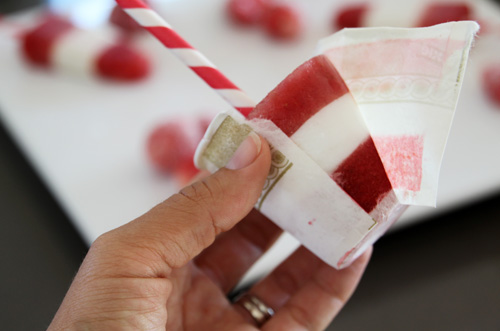 Fruit Popsicles | PepperDesignBlog.com