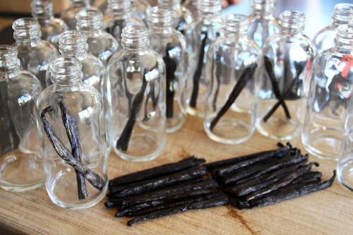 Homemade Vanilla Bean Extract | PepperDesignBlog.com