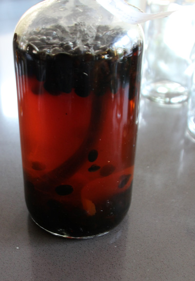Homemade Vanilla Bean Extract | PepperDesignBlog.com
