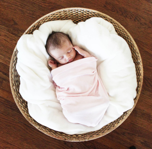 Liv's Newborn Basket Photo | PepperDesignBlog.com