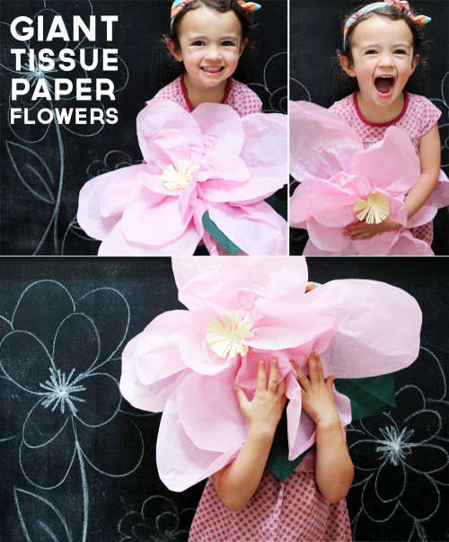 Tutorial: Giant Tissue Paper Flowers | PepperDesignBlog.com