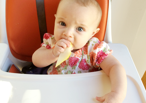 Baby-Led Weaning, Part 2 | PepperDesignBlog.com