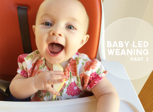 Baby-Led Weaning, Part 2 | PepperDesignBlog.com