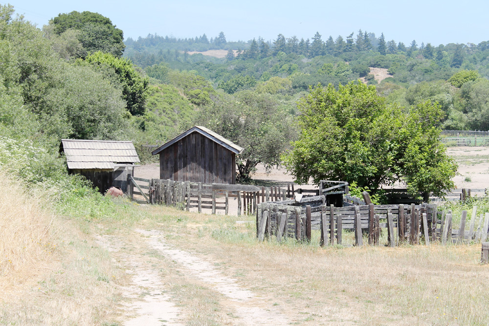 Weekend Fun | Father's Day at Wilder Ranch | PepperDesignBlog.com