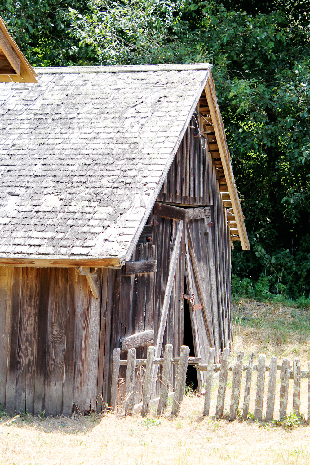 Weekend Fun | Father's Day at Wilder Ranch | PepperDesignBlog.com