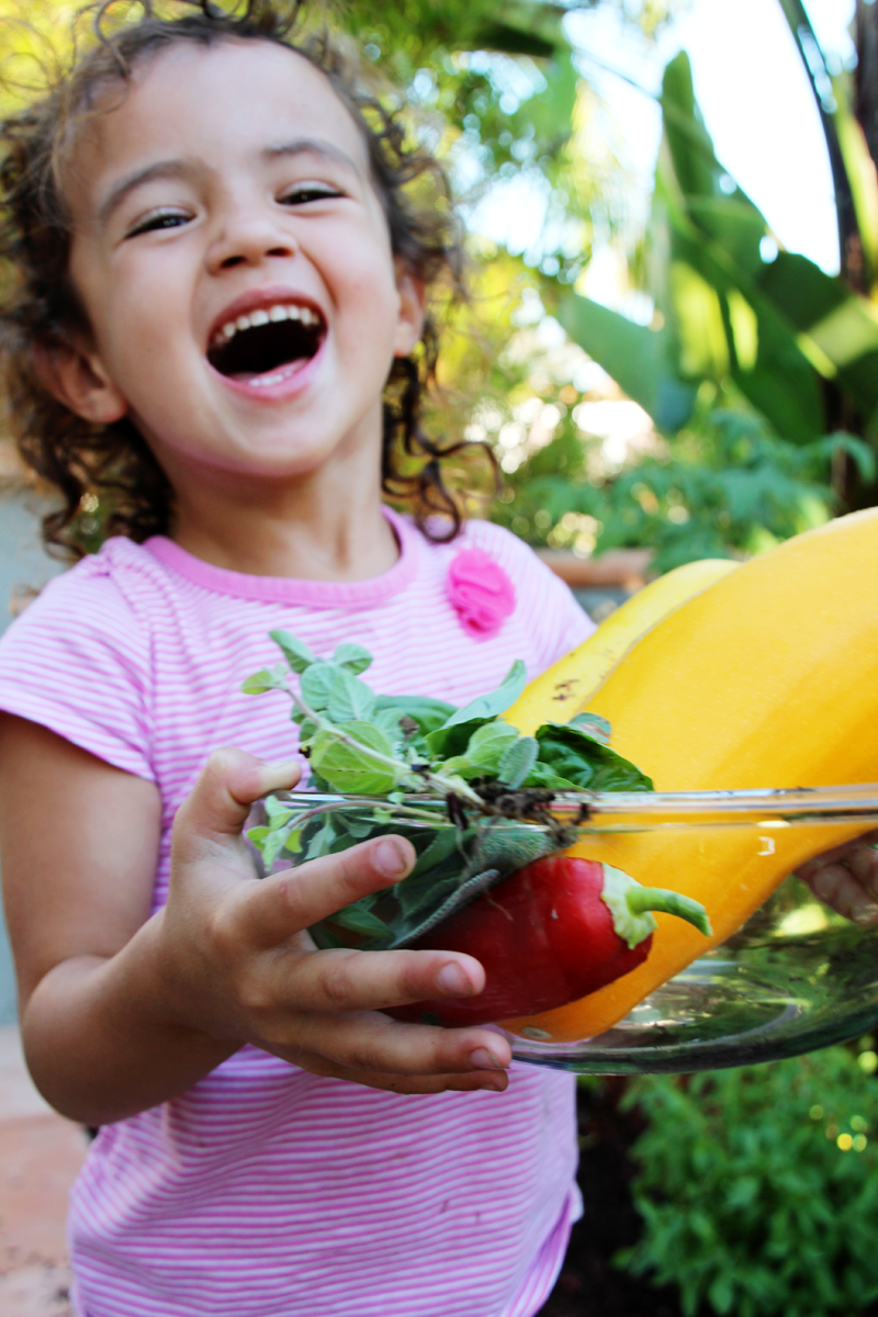 A Garden Box Harvest | PepperDesignBlog.com