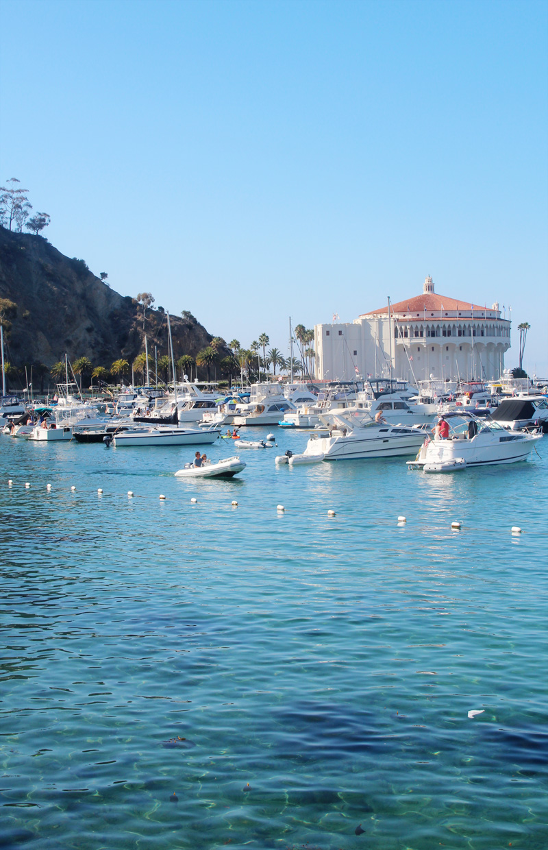 A Guide to Catalina Island | PepperDesignBlog.com