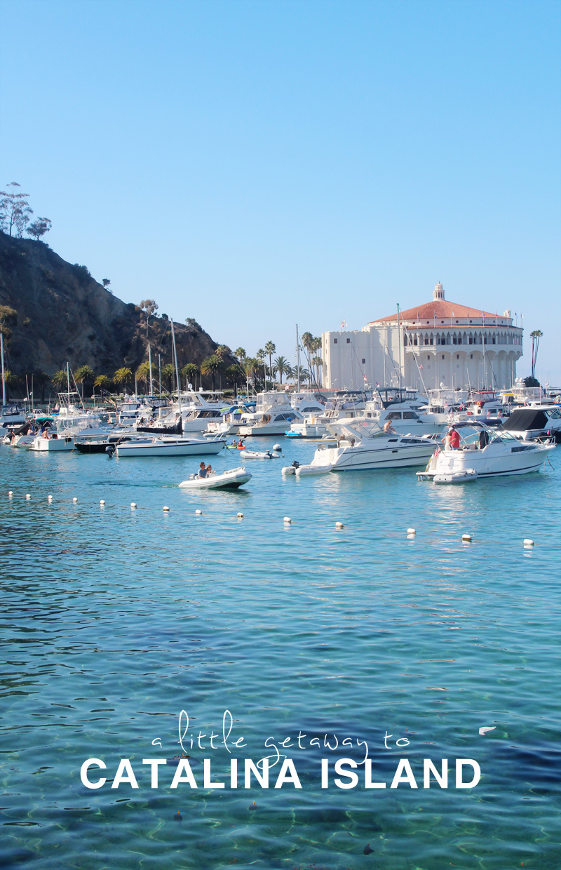 A Guide to Catalina Island | PepperDesignBlog.com