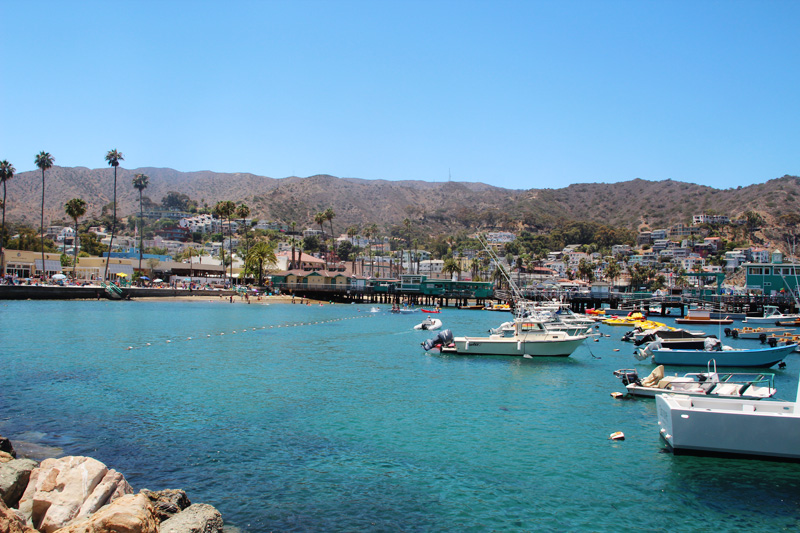 A Guide to Catalina Island | PepperDesignBlog.com