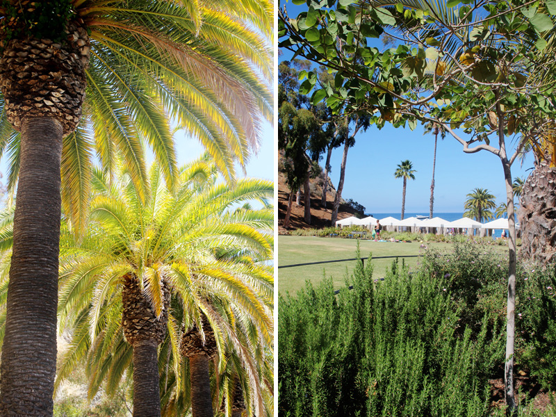 A Guide to Catalina Island | PepperDesignBlog.com