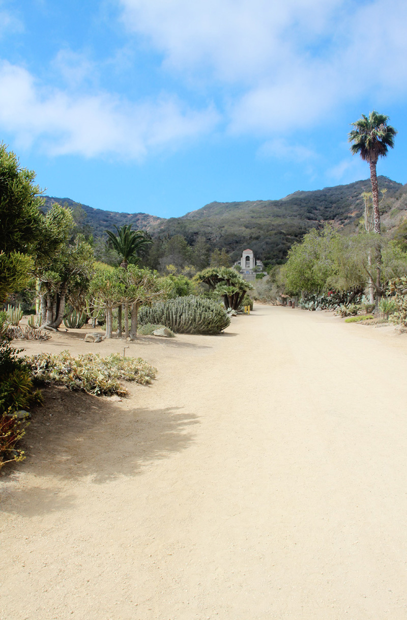 A Guide to Catalina Island | PepperDesignBlog.com