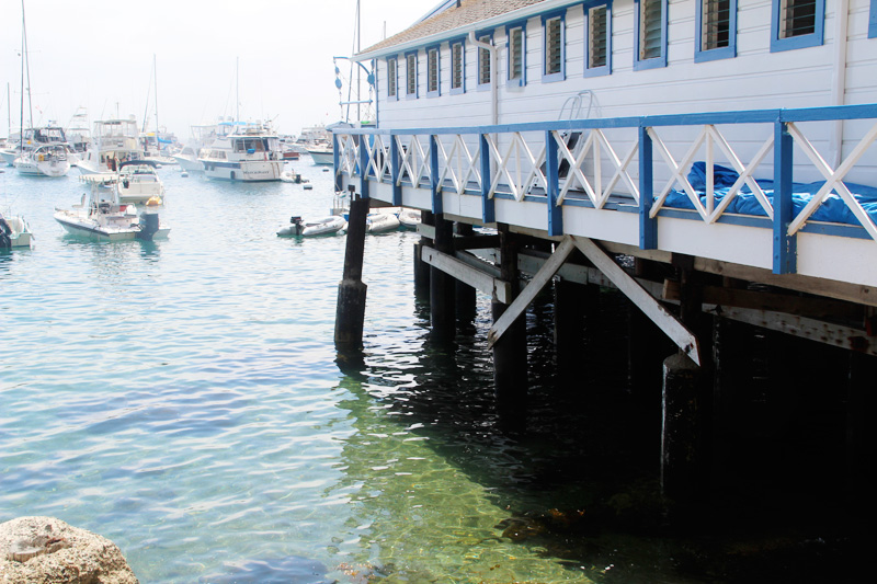 A Guide to Catalina Island | PepperDesignBlog.com