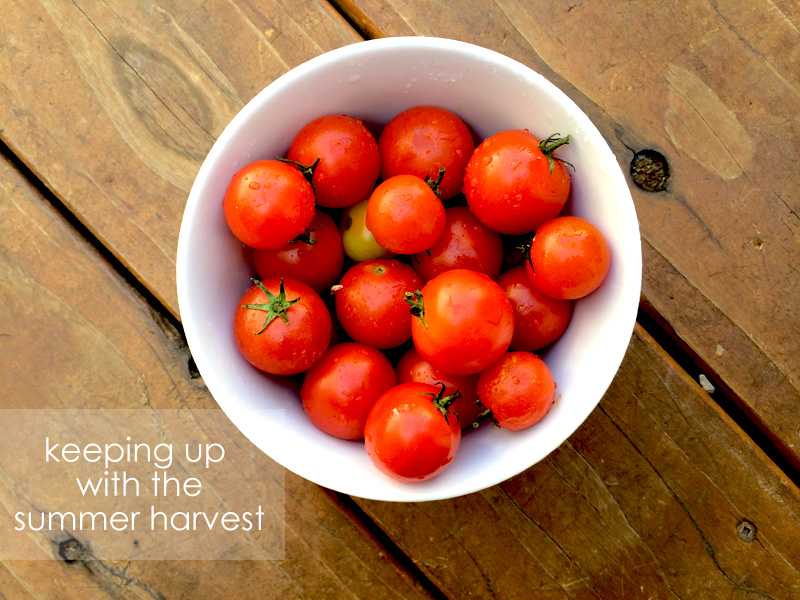 Summer Harvest Recipes | PepperDesignBlog.com