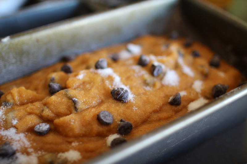 Best Pumpkin Bread (with chocolate chips) Recipe | PepperDesignBlog.com