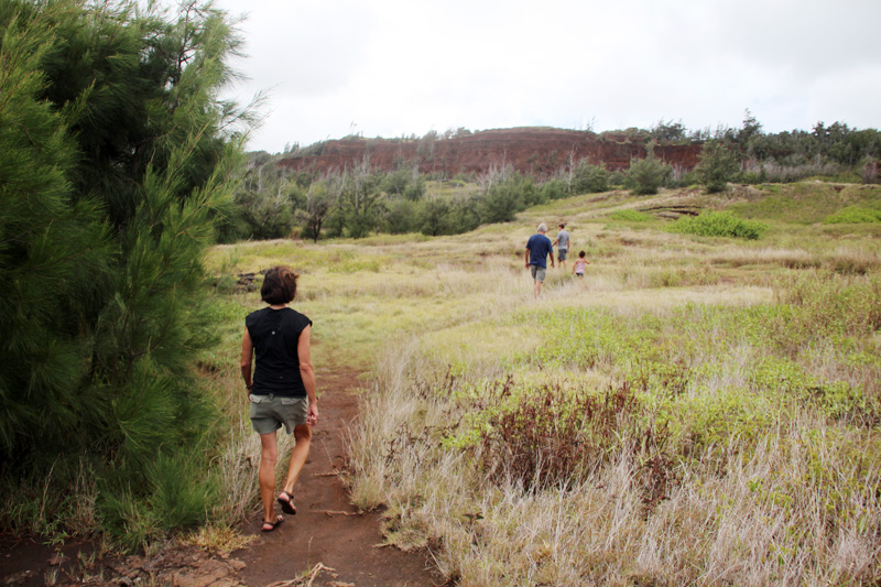 Maui Vacation | PepperDesignBlog.com