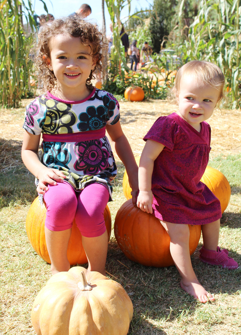 Pumpkin Patch 2014 | PepperDesignBlog.com