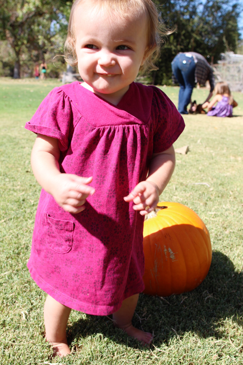 Pumpkin Patch 2014 | PepperDesignBlog.com