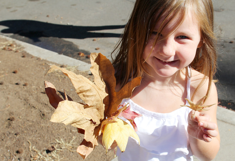 Kid's Thanksgiving Project Idea: Fall Leaves Milk Art & Place Cards | PepperDesignBlog.com