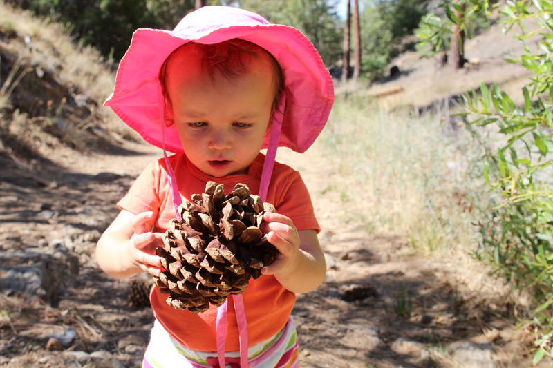 Family Hikes | PepperDesignBlog.com