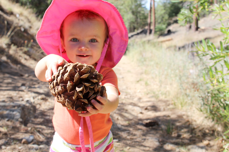 Family Hikes | PepperDesignBlog.com