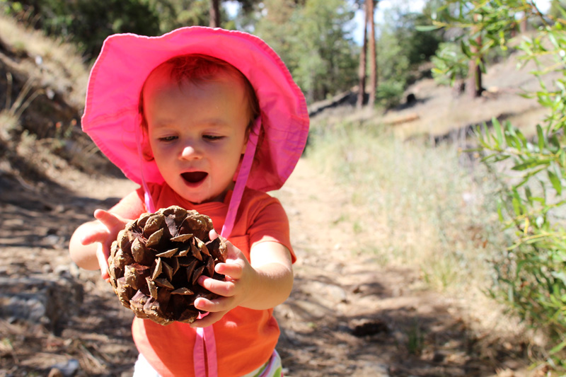 Family Hikes | PepperDesignBlog.com