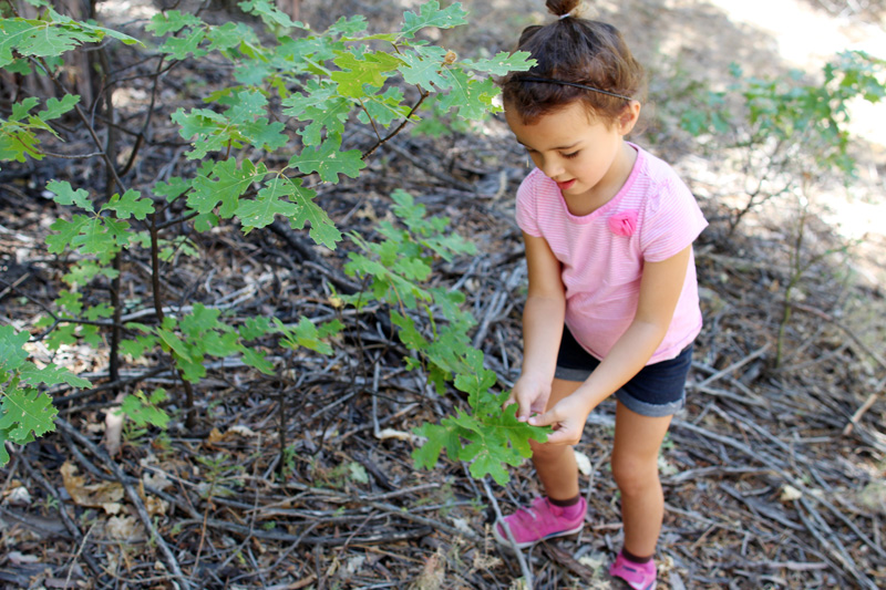 Family Hikes | PepperDesignBlog.com