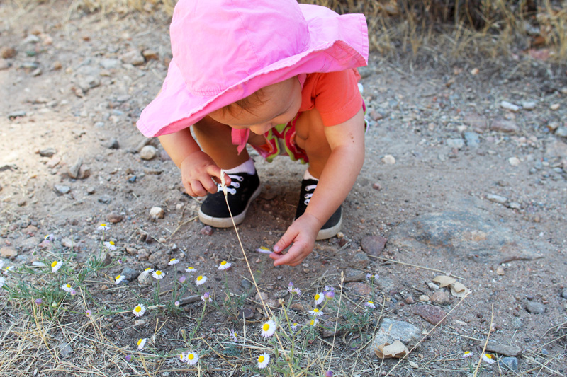 Family Hikes | PepperDesignBlog.com