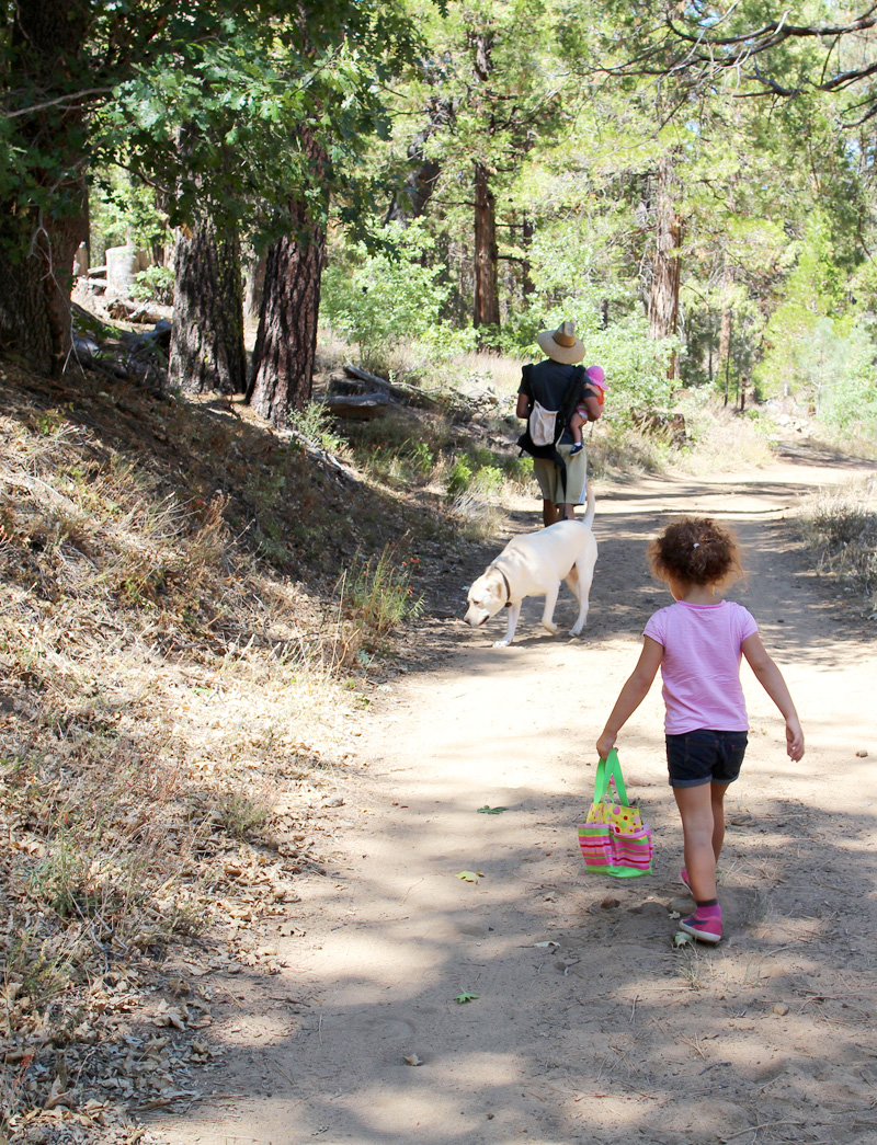 Family Hikes | PepperDesignBlog.com