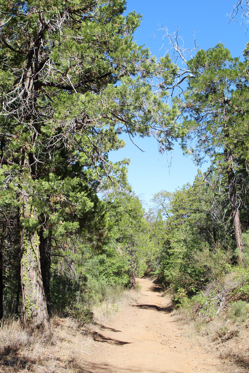 Family Hikes | PepperDesignBlog.com