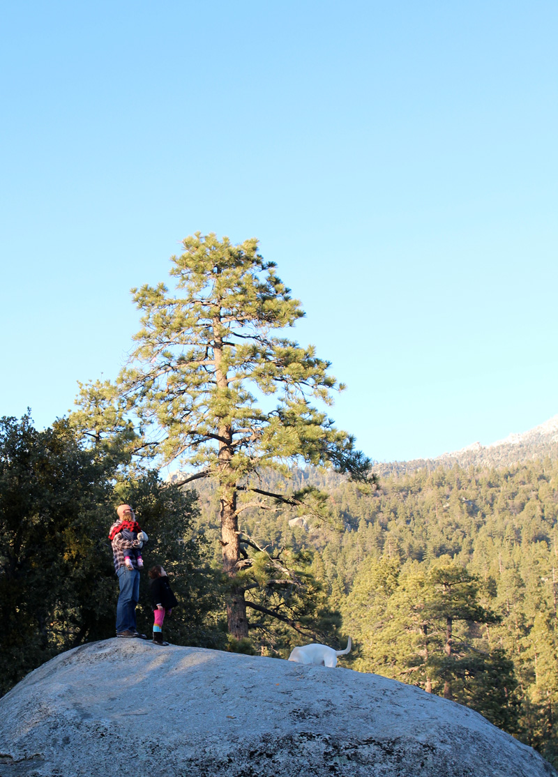 Family Snow Trip to Idyllwild | PepperDesignBlog.com