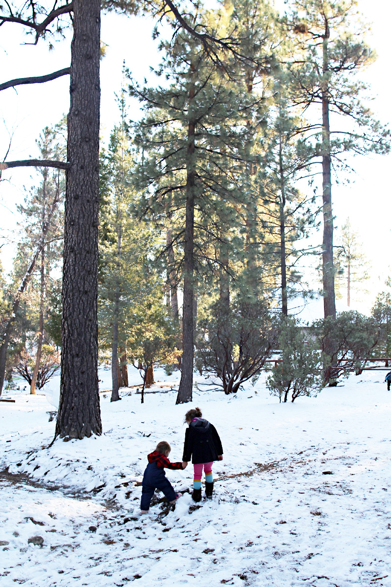 Family Snow Trip to Idyllwild | PepperDesignBlog.com