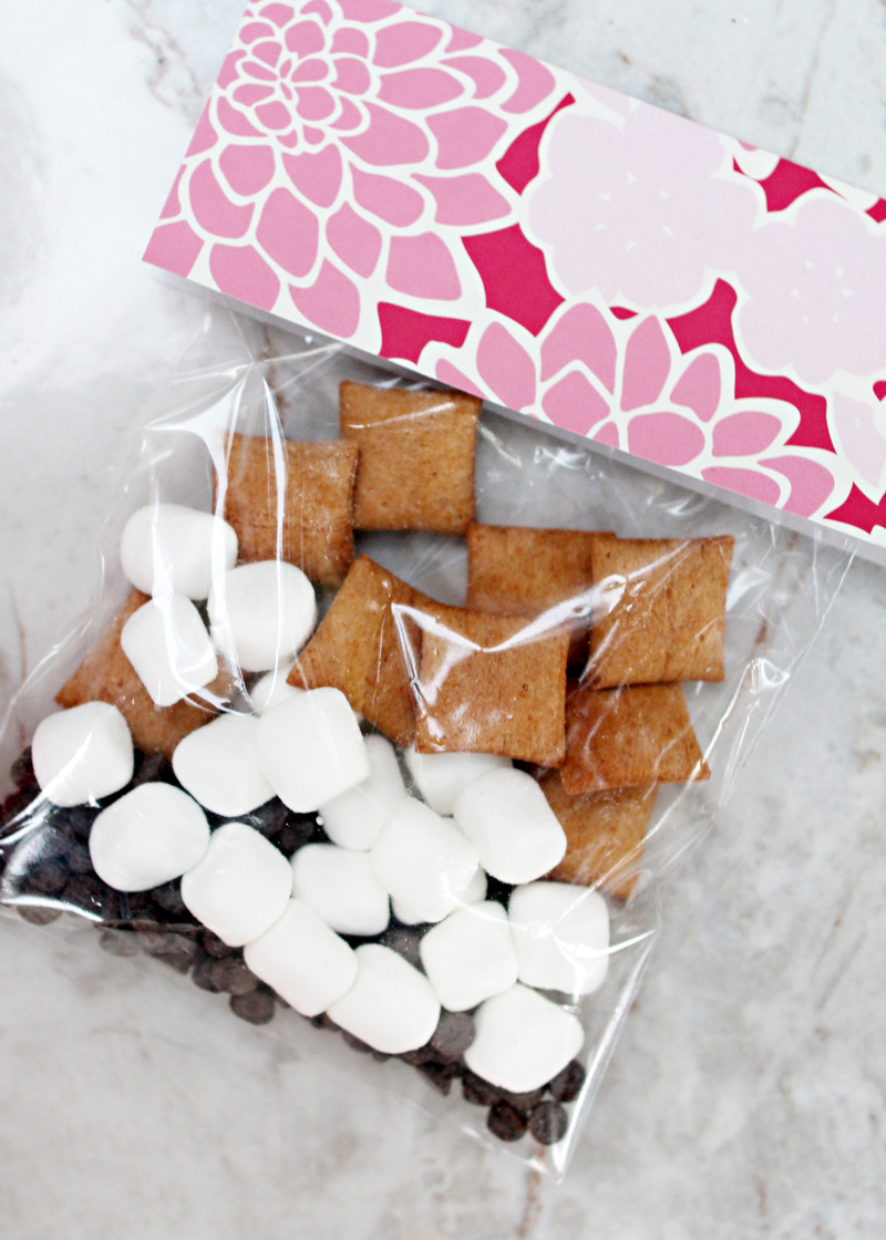 Valentine's Day S'more Treat, Favor | Easy DIY Folded Card Packets | PepperDesignBlog.com