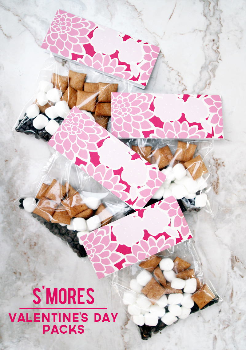 Valentine's Day S'more Treat, Favor | Easy DIY Folded Card Packets | PepperDesignBlog.com