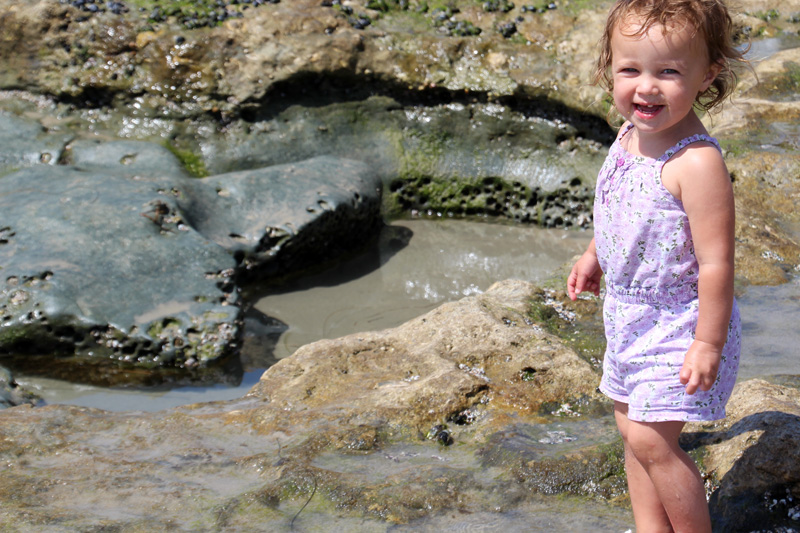 A Day at the Tidepools | PepperDesignBlog.com