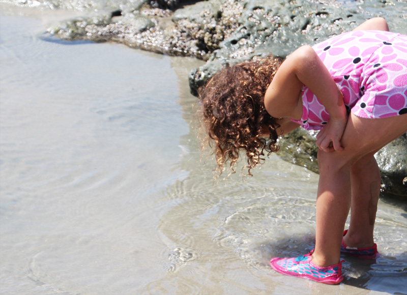 A Day at the Tidepools | PepperDesignBlog.com