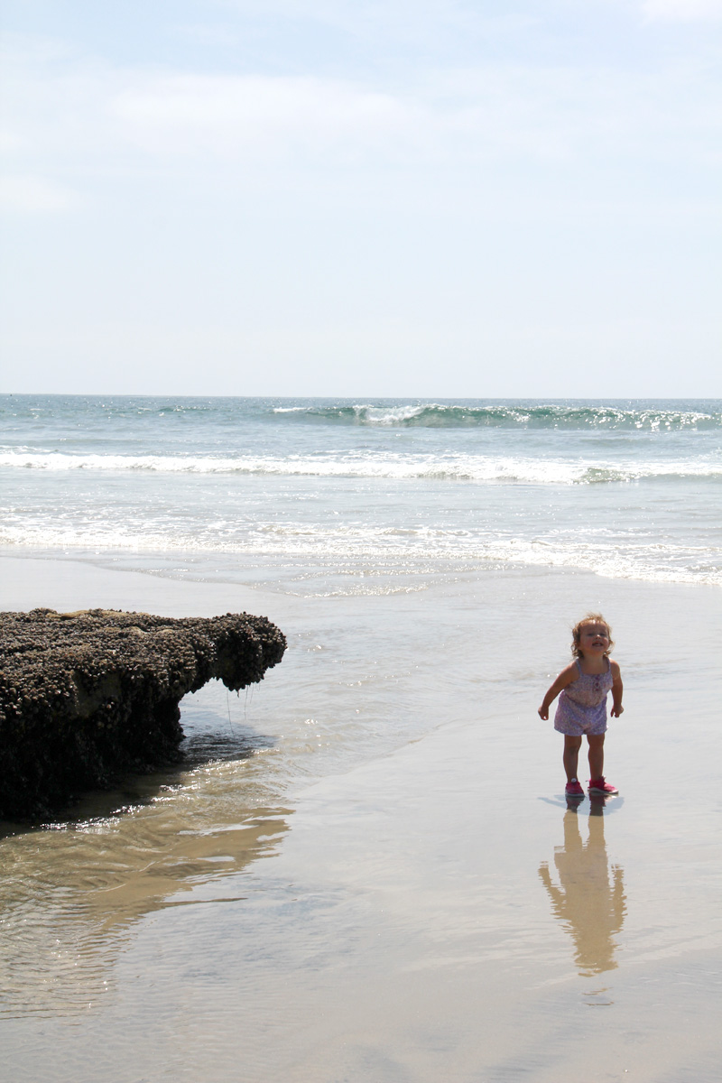 A Day at the Tidepools | PepperDesignBlog.com