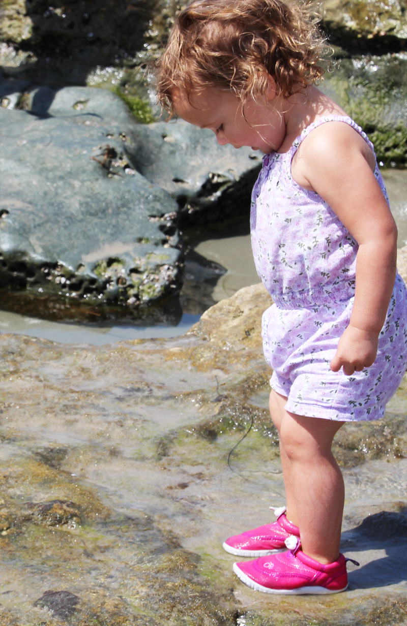 A Day at the Tidepools | PepperDesignBlog.com