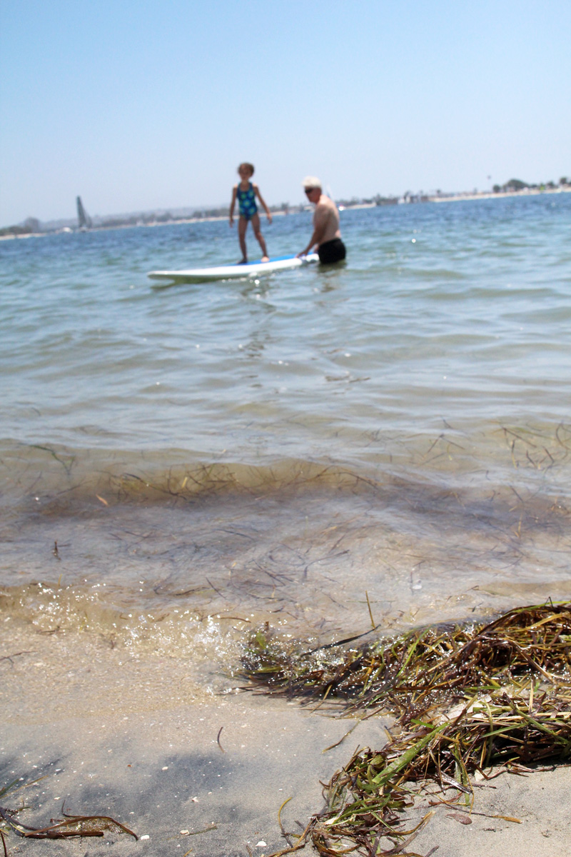 Father's Day, 2015 | Mission Bay, San Diego | PepperDesignBlog.com