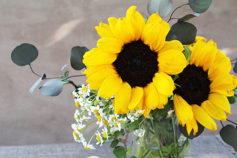 A Basic Guide to Flower Arrangements | Sunflowers, Eucalyptus, Daisies | PepperDesignBlog.com
