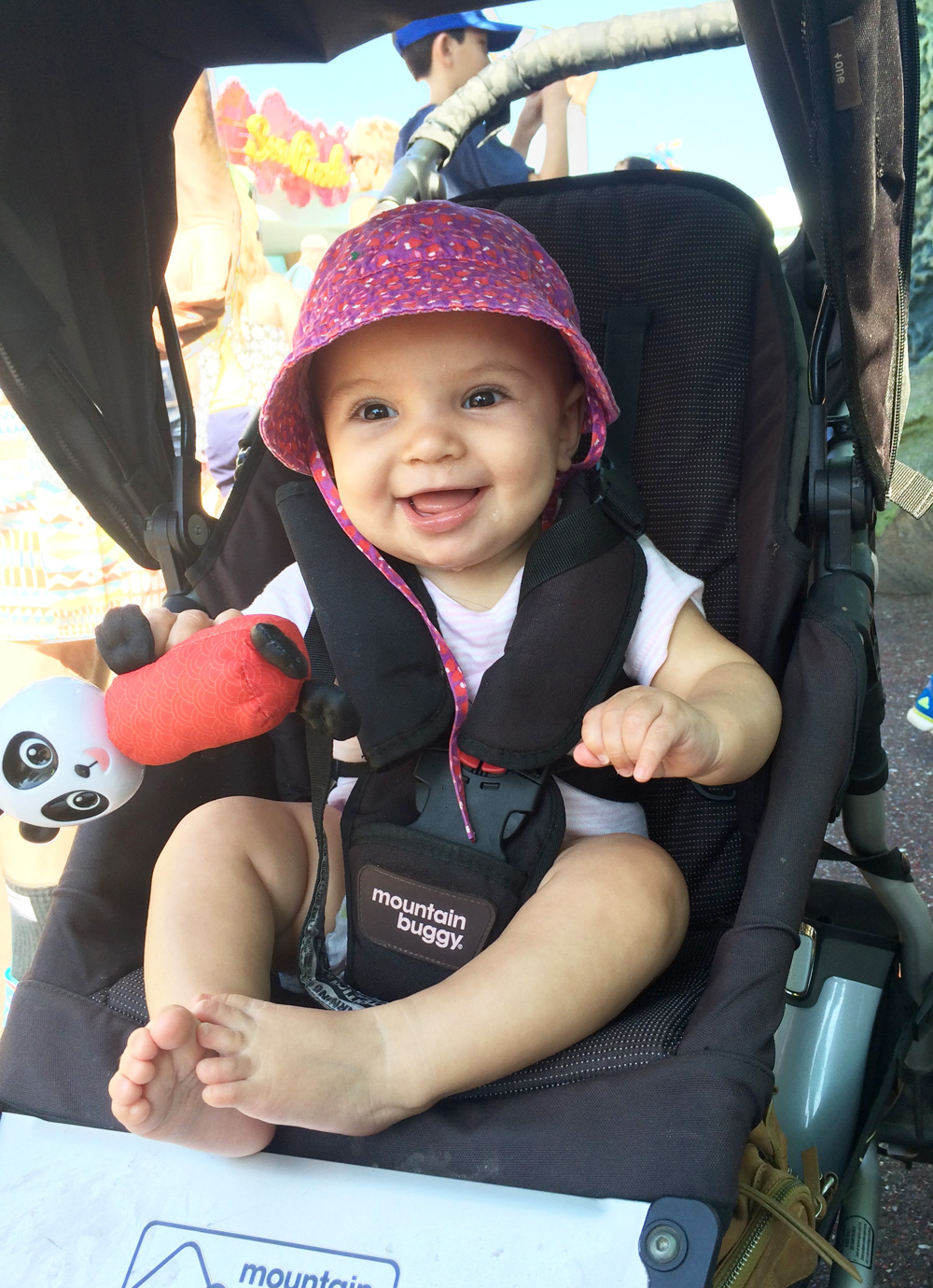A Mountain Buggy +One Double Stroller Review