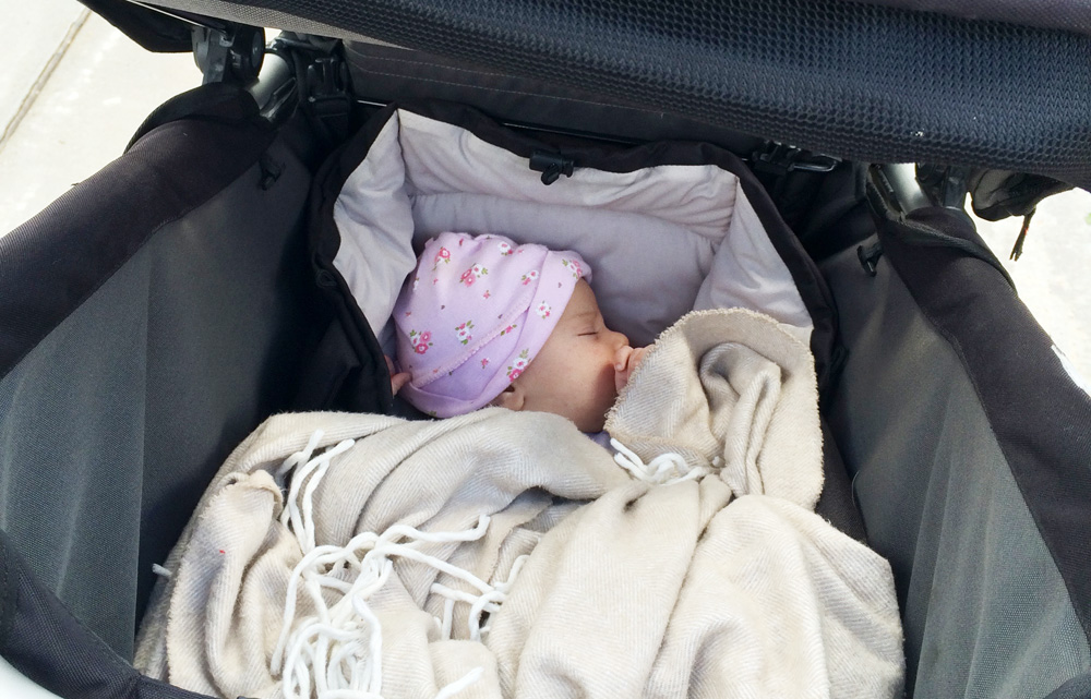 A Mountain Buggy +One Double Stroller Review
